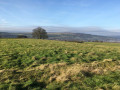New Year's Eve Walk on the Chevin